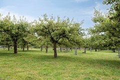 Makelaardij IJsselstein Molenstraat55-A4233ERAmeide-30.jpg